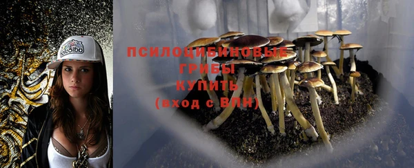 а пвп мука Абдулино