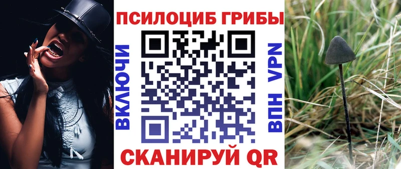 кракен ONION  Тольятти  Псилоцибиновые грибы GOLDEN TEACHER 