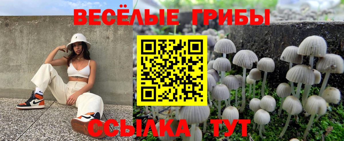 Тольятти  Псилоцибиновые грибы GOLDEN TEACHER  где продают   Вход с VPN 